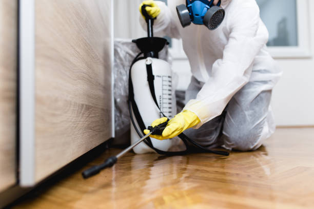Best Termite Control Services  in Markesan, WI