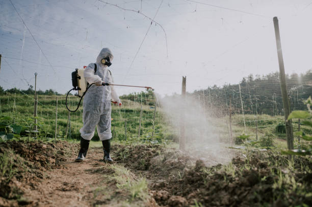 Best Affordable Pest Control Services  in Markesan, WI