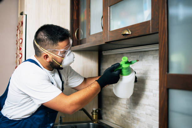 Best Wildlife Control Services  in Markesan, WI