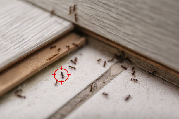 Pest Control Cost in Markesan, WI