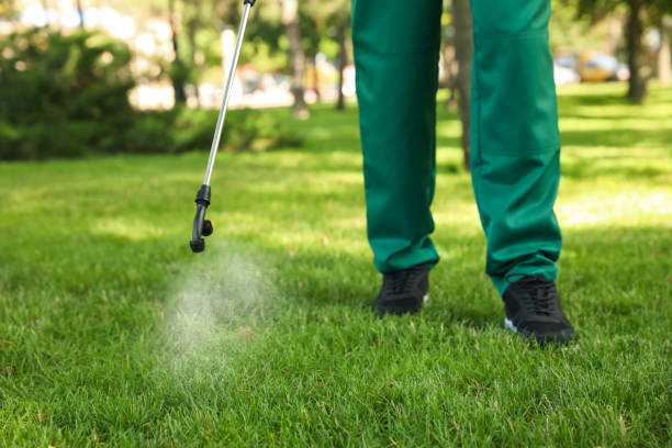 Best Mosquito Control Services  in Markesan, WI