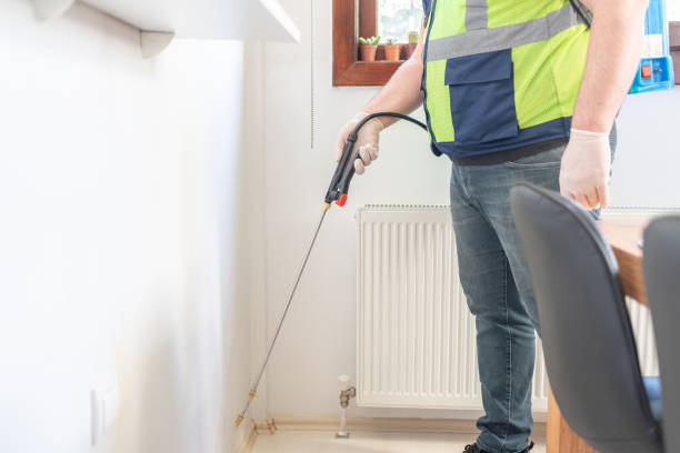 Best Wasp Removal Services  in Markesan, WI