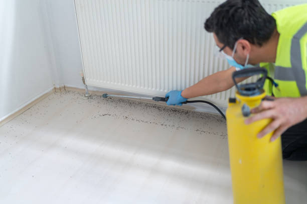 Best Cockroach Control Services  in Markesan, WI