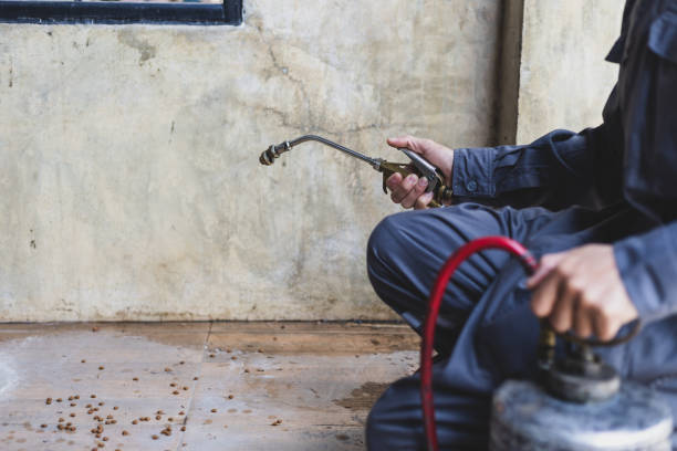 Best Emergency Pest Control  in Markesan, WI