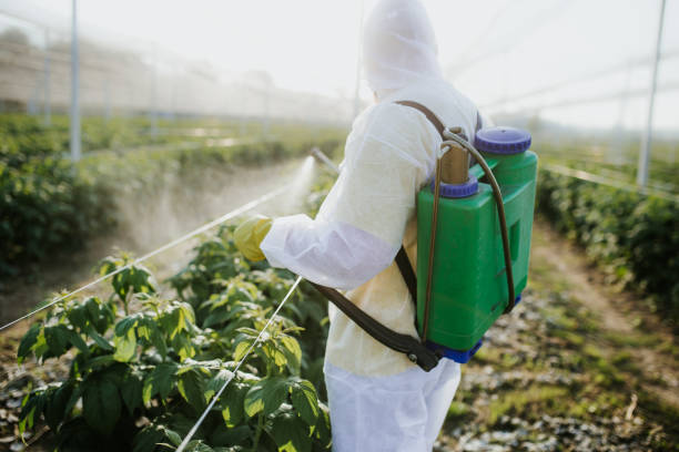 Wildlife Control Services in Markesan, WI